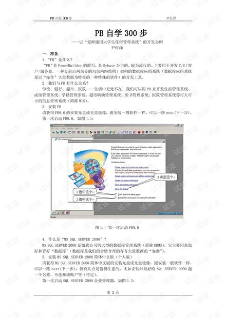 PB技術(shù)開(kāi)發(fā)自學(xué)資源與CSDN文庫(kù)指南