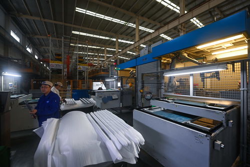 浙江嘉興 數字化車間技術開發，為制造業高質量發展注入強勁動能